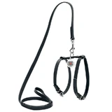 Collar WAUDOG Glamour - Шлея кожаная с QR паспортом и поводком для собак; XS/1,2х25-33х35-43 см (Черный)