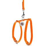 Collar WAUDOG Glamour - Шлея шкіряна з QR паспортом і повідцем для собак; XXS/0,9х20-30х30-40 см (Помаранчевий)
