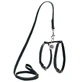 Collar WAUDOG Glamour - Шлея шкіряна з QR паспортом і повідцем для собак; XXS/0,9х20-30х30-40 см (Чорний)