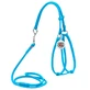 Collar WAUDOG Glamour - Шлея шкіряна кругла з повідцем і QR паспортом для собак; XS/0,6х42-60х46-64 см (Блакитний)