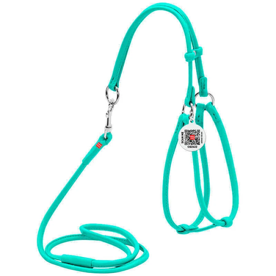 Collar WAUDOG Glamour - Шлея кожаная круглая с поводком и QR паспортом для собак; XS/0,6х42-60х46-64 см (Бирюзовый): цены и характеристики