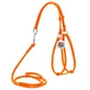Collar WAUDOG Glamour - Шлея кожаная круглая с поводком и QR паспортом для собак; XS/0,6х42-60х46-64 см (Оранжевый)