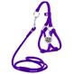 Collar WAUDOG Glamour - Шлея шкіряна кругла з повідцем і QR паспортом для собак; XXS/0,6х26-46х30-50 см (Бузковий)