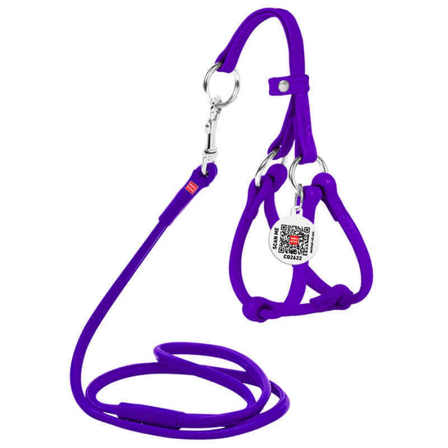 Collar WAUDOG Glamour - Шлея шкіряна кругла з повідцем і QR паспортом для собак; XXS/0,6х26-46х30-50 см (Бузковий): ціни та характеристики