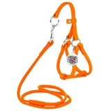 Collar WAUDOG Glamour - Шлея шкіряна кругла з повідцем і QR паспортом для собак; XXS/0,6х26-46х30-50 см (Помаранчевий)