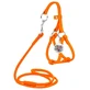 Collar WAUDOG Glamour - Шлея шкіряна кругла з повідцем і QR паспортом для собак; XXS/0,6х26-46х30-50 см (Помаранчевий)