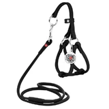 Collar WAUDOG Glamour - Шлея шкіряна кругла з повідцем і QR паспортом для собак; XXS/0,6х26-46х30-50 см (Чорний)