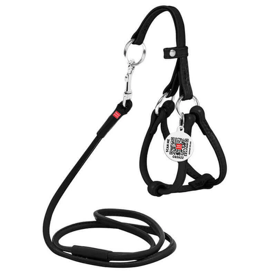 Collar WAUDOG Glamour - Шлея кожаная круглая с поводком и QR паспортом для собак; XXS/0,6х26-46х30-50 см (Черный): цены и характеристики
