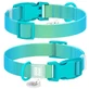 Collar WAUDOG Nylon Recycled - Ошейник нейлоновый градиент с QR паспортом и пластиковым фастексом для собак; М (2х28-40 см) (Зелено-голубой)