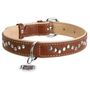 Collar WAUDOG Soft - Нашийник шкіряний з металевими прикрасами і QR паспортом для собак; L (2,5х38-49 см) (Коричневий)
