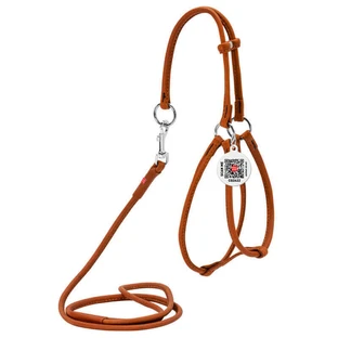 Collar WAUDOG Soft - Шлея кожаная с поводком и QR паспортом для собак; S/0,6х42-60х46-64 см (Коричневый)