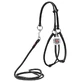 Collar WAUDOG Soft - Шлея кожаная с поводком и QR паспортом для собак; S/0,6х42-60х46-64см (Черный)
