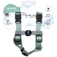M-Pets Gentle Dog Harness - Шлея для мелких, маленьких и средних пород собак; XS/1,5x25-36/31-44 см (Зеленый)