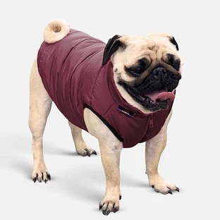 Noble Pet (Нобл Пет) Scotty - Куртка для собак (бордова); XS (23-25 см)