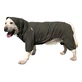 Noble Pet (Нобл Пет) Travis - Комбінезон для собак (хакі); L (33-35 см)