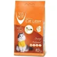 VanCat (ВанКэт) Cat Litter Orange - Бентонитовый наполнитель для кошачьего туалета с ароматом апельсина; 10 кг