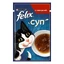 Felix (Феликс) Soup with Beef - Дополнительный консервированный корм Суп с говядиной для котов; 48 г