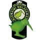 Kiwi Walker