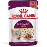 Royal Canin (Роял Канін) Sensory Taste in Gravy – Вологий корм з м'ясом для дорослих котів, що стимулює смакові рецептори (шматочки в соусі); 85 г