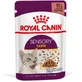 Royal Canin (Роял Канін) Sensory Taste in Gravy – Вологий корм з м'ясом для дорослих котів, що стимулює смакові рецептори (шматочки в соусі); 85 г