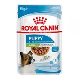 Royal Canin Puppy X-Small - Консервований корм для цуценят мініатюрних порід (шматочки в соусі); 85 г