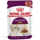 Royal Canin Sensory Smell in Gravy – Вологий корм з м'ясом та рибою для дорослих котів, що стимулює нюхові рецептори (шматочки в соусі); 85 г