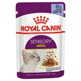 Royal Canin Sensory Smell in Jelly – Вологий корм з м'ясом та рибою для дорослих котів, що стимулює нюхові рецептори (шматочки в желе); 85 г