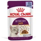 Royal Canin Sensory Taste in Jelly – Вологий корм з м'ясом для дорослих котів, що стимулює смакові рецептори (шматочки в желе); 85 г