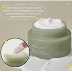 Крем для лица Needly Cicachid relief cream с центеллой, успокаивающий, 48 мл: цены и характеристики