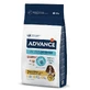 Advance (Эдванс) Dog Sensitive Medium/Maxi Salmon - Сухой корм с лососем для собак с чувствительным пищеварением; 12 кг