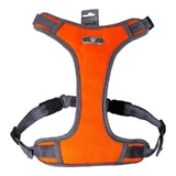 AnimAll Dog Harness - Шлея нейлоновая для собак (оранжевая); L / 42-79 см (Оранжевый)