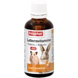 Beaphar (Беафар) Lebensvitamine - Кормова вітамінна добавка для гризунів і кроликів; 50 мл