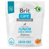 Brit Care GF Junior Large Breed Salmon and Potato - Сухой беззерновой корм с лососем для молодых собак крупных пород; 1 кг Sale!