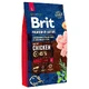Brit