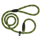 Bronzedog (Бронздог) Active Dog Leash - Повідець-зашморг з альпіністського шнура для собак; 1,2х152 см (Салатовий / Чорний)
