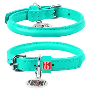 Collar WAUDOG Glamour - Нашийник круглий шкіряний з QR паспортом для собак; S (1х33-41 см) (Бірюзовий)