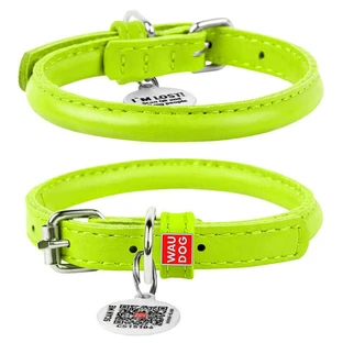 Collar WAUDOG Glamour - Нашийник круглий шкіряний з QR паспортом для собак; S (1х33-41 см) (Салатовий)
