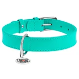 Collar WAUDOG Glamour - Нашийник шкіряний з QR паспортом без прикрас для собак; L (2,5х38-49 см) (Бірюзовий)