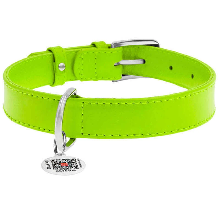Collar WAUDOG Glamour - Ошейник кожаный с QR паспортом без украшений для собак; L (2,5х38-49 см) (Салатовый): цены и характеристики