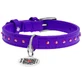Collar WAUDOG Glamour - Ошейник кожаный с клеевыми стразами и QR паспортом для собак; XS (1,2х21-29 см) (Сиреневый)