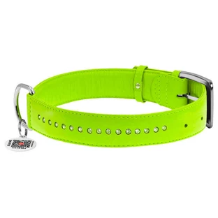 Collar WAUDOG Glamour - Нашийник шкіряний подвійний зі стразами і QR паспортом для собак; М (2х30-39 см) (Салатовий)