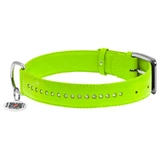 Collar WAUDOG Glamour - Ошейник кожаный двойной со стразами и QR паспортом для собак; ХL (0,35х46-60 см) (Салатовый)