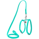 Collar WAUDOG Glamour - Шлея кожаная с QR паспортом и поводком для собак; XXS/0,9х20-30х30-40 см (Бирюзовый)