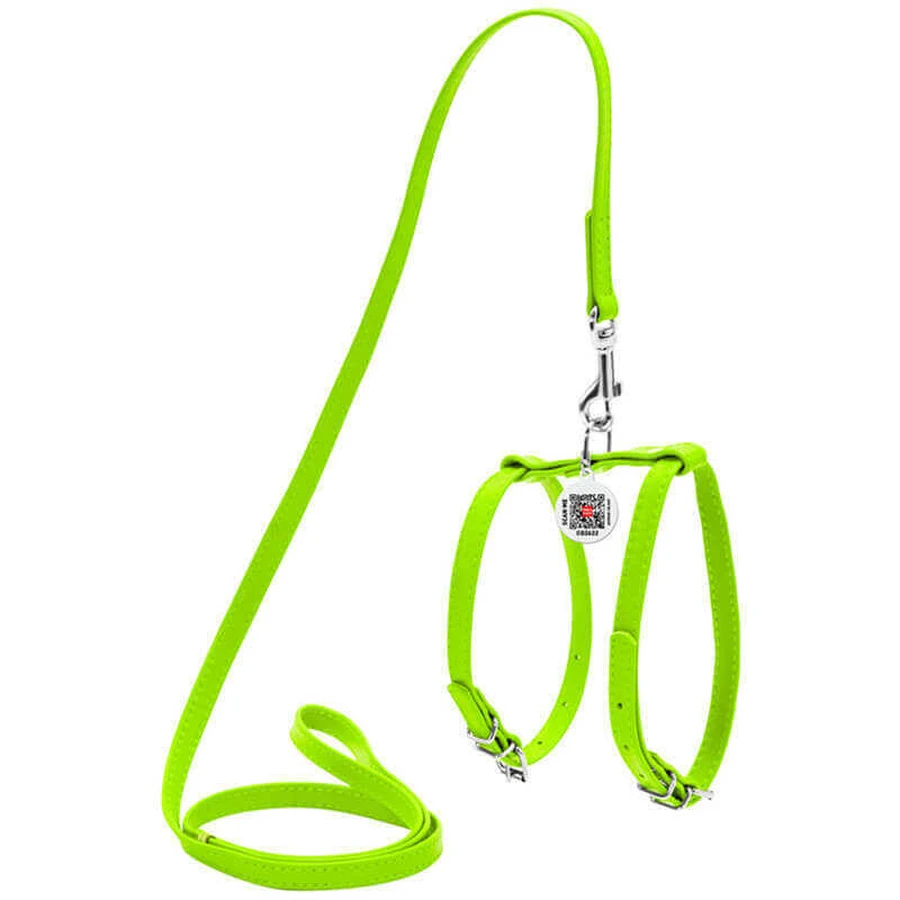 Collar WAUDOG Glamour - Шлея шкіряна з QR паспортом і повідцем для собак; XXS/0,9х20-30х30-40 см (Салатовий): ціни та характеристики