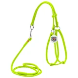 Collar WAUDOG Glamour - Шлея кожаная круглая с поводком и QR паспортом для собак; XS/0,6х42-60х46-64 см (Салатовый)