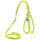 Collar WAUDOG Glamour - Шлея кожаная круглая с поводком и QR паспортом для собак; XS/0,6х42-60х46-64 см (Салатовый)