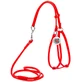 Collar WAUDOG Glamour - Шлея шкіряна кругла з повідцем і QR паспортом для собак; XS/0,6х42-60х46-64 см (Червоний)