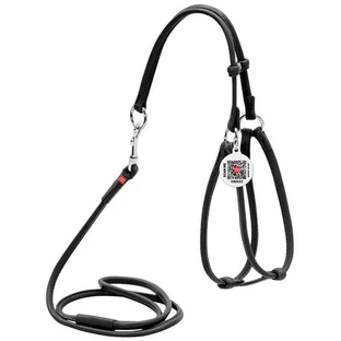 Collar WAUDOG Glamour - Шлея шкіряна кругла з повідцем і QR паспортом для собак; XS/0,6х42-60х46-64 см (Чорний)