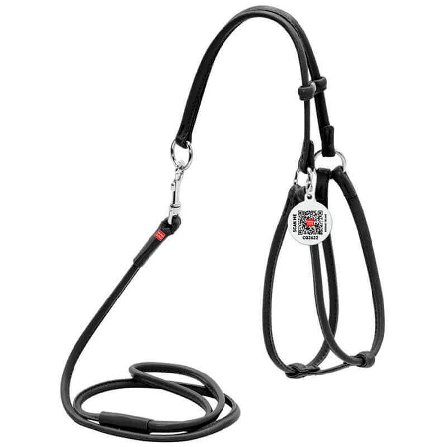 Collar WAUDOG Glamour - Шлея шкіряна кругла з повідцем і QR паспортом для собак; XS/0,6х42-60х46-64 см (Чорний): ціни та характеристики