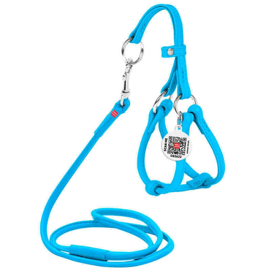 Collar WAUDOG Glamour - Шлея шкіряна кругла з повідцем і QR паспортом для собак; XXS/0,6х26-46х30-50 см (Блакитний): ціни та характеристики